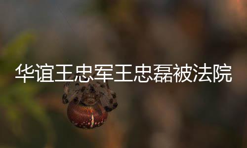 被法行 忠磊制执执行华谊院强亿王忠超3军王金额